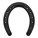 horse.shoes.basic.icon