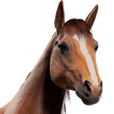 HorseAvatar_Chestnut