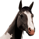 HorseAvatar_Piebald