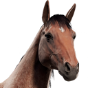 HorseAvatar_RedRoan