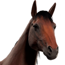 HorseAvatar_Bay