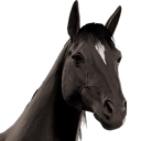 HorseAvatar_BlackThoroughbred