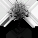 american_beech_b_LOD3_Translucency