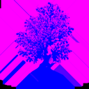 american_beech_d_LOD3_TintMask