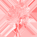 american_beech_d_dead_LOD3_Normals