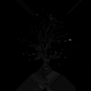 american_beech_d_dead_LOD3_Translucency