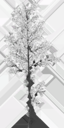 birch_big_tundra_LOD3_Translucency