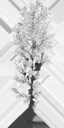 birch_large_tundra_LOD3_Translucency