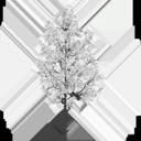 birch_medium_tundra_LOD3_Translucency