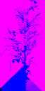 birch_small_tundra_LOD3_TintMask