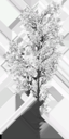 birch_small_tundra_LOD3_Translucency