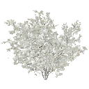 bush_spicebush_a_snow_LOD2_BaseColor
